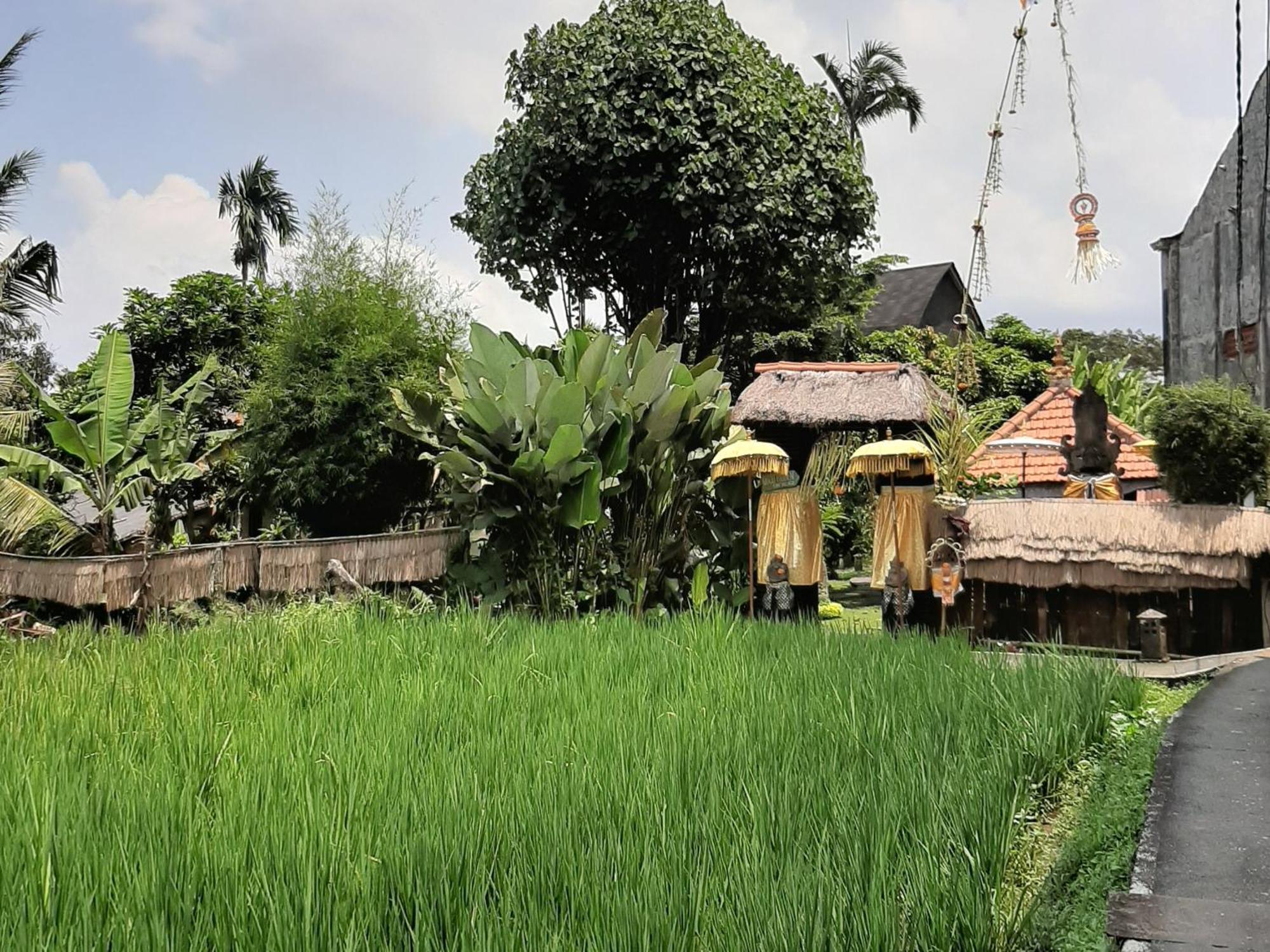 Ubud Hidden Villa Yone Village Exterior photo