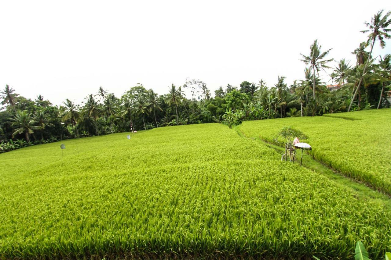 Ubud Hidden Villa Yone Village Exterior photo